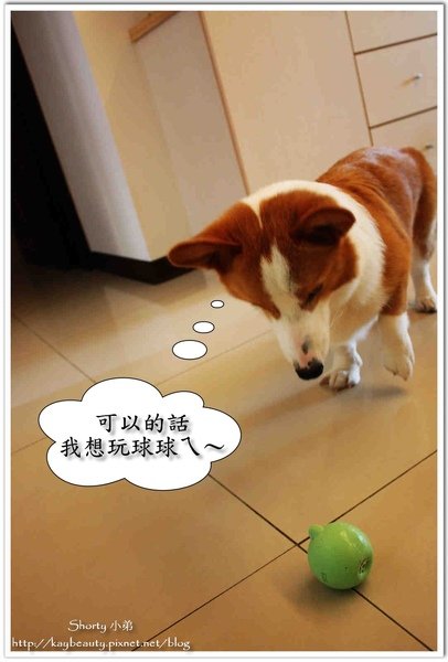 想玩 2.jpg