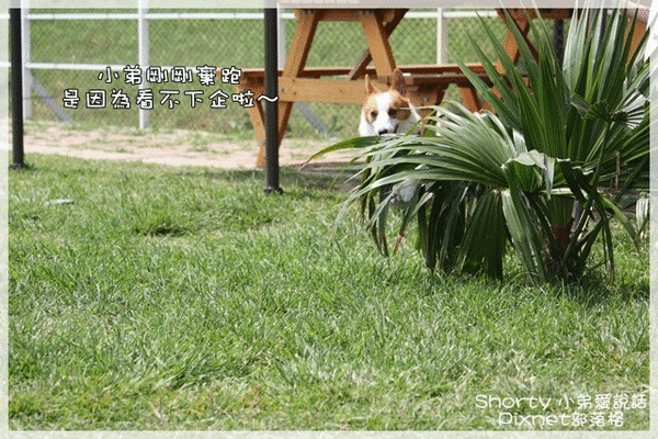 跑步 4.gif