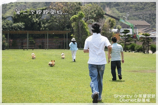 跑步 2.gif