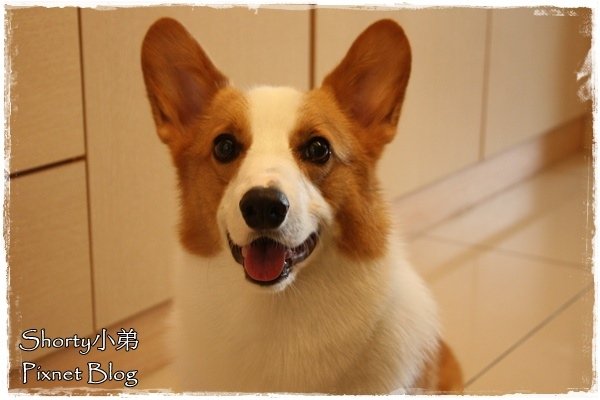 名牌 7.JPG