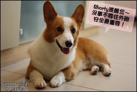 莫拉克 12.JPG