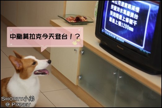 莫拉克 1.JPG