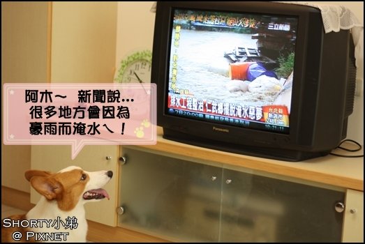 莫拉克 3.JPG