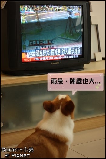 莫拉克 4.JPG