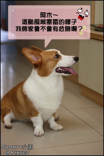 莫拉克 6.JPG