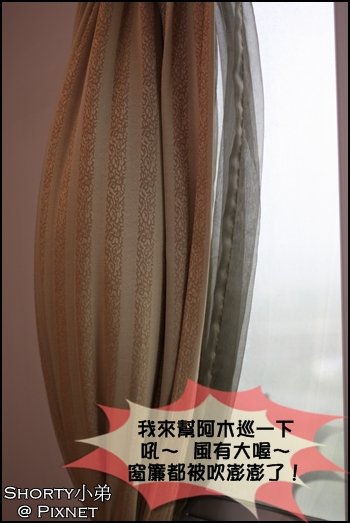 莫拉克 7.JPG