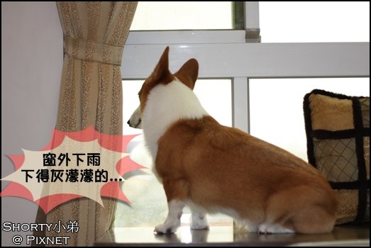 莫拉克 8.JPG