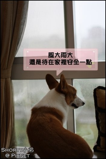 莫拉克 9.JPG