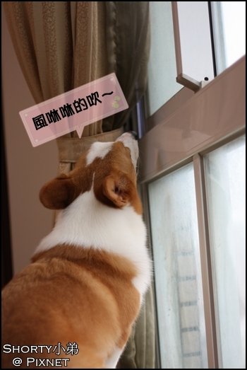 莫拉克 10.JPG