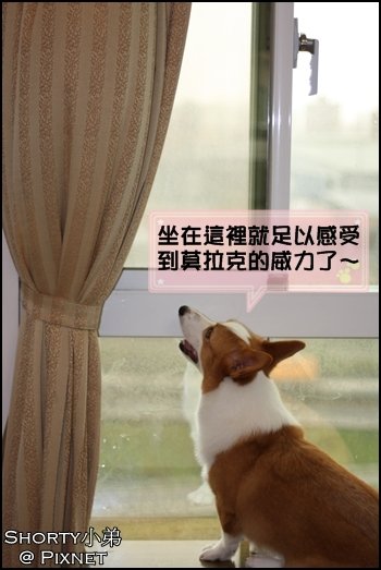 莫拉克 11.JPG