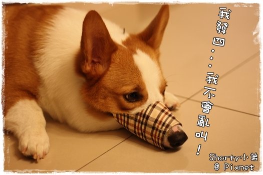 更好 7.JPG