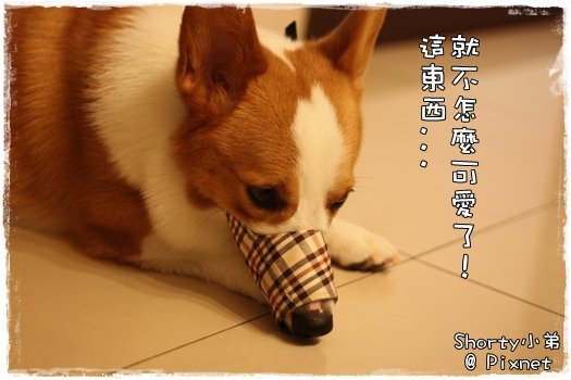 更好 5.JPG