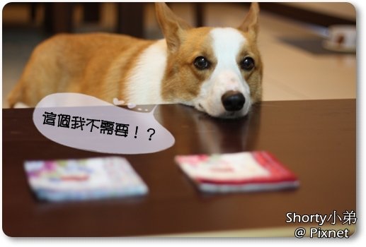 手帕 11.JPG