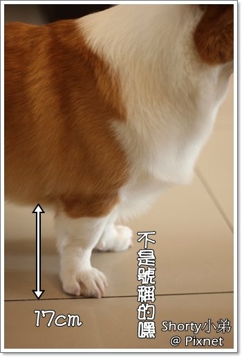 body 2.JPG