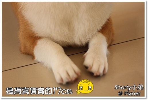 body 3.JPG