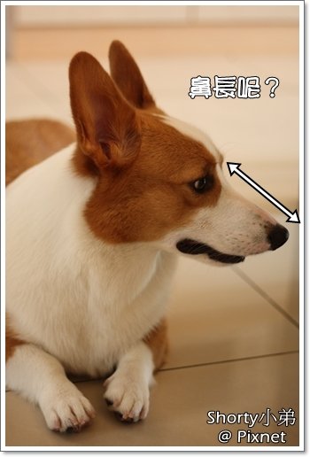 body 5.JPG