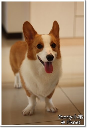 body 6.JPG