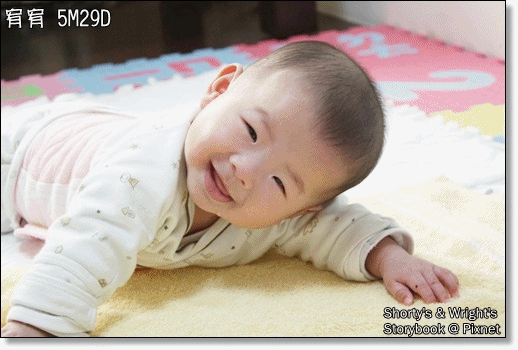 5M29D 5.gif