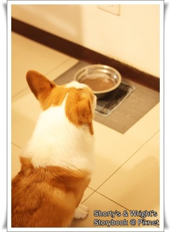 201101 20.JPG
