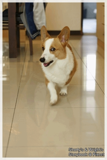 home 0412 7.gif