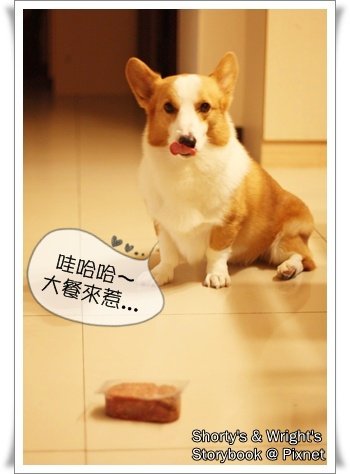 201101 23.JPG