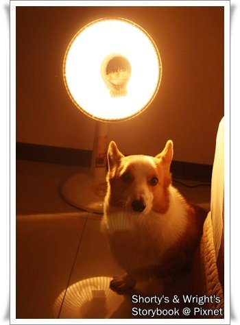 201101 4.JPG