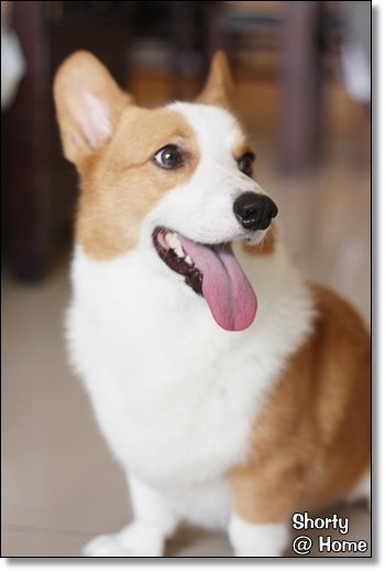 兔子 14.JPG