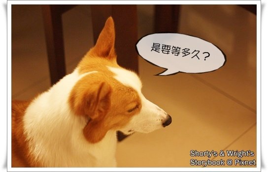 201101 19.JPG