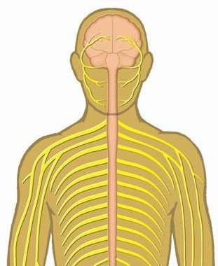 20160209 Surgical Options Patient Brochure [LB-348 R00]-3.jpg