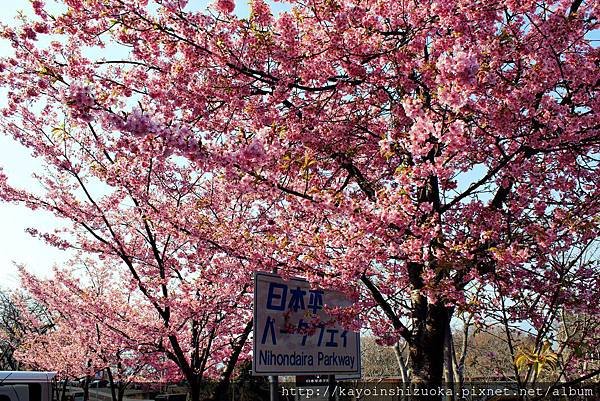 靜岡旅遊｜靜岡推薦到日本平小旅行！日本平纜車/久能山東照宮/