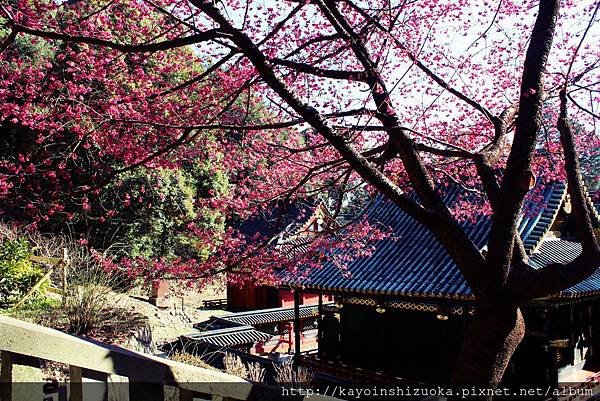 靜岡旅遊｜靜岡推薦到日本平小旅行！日本平纜車/久能山東照宮/