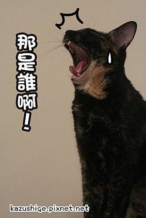 月月3.jpg