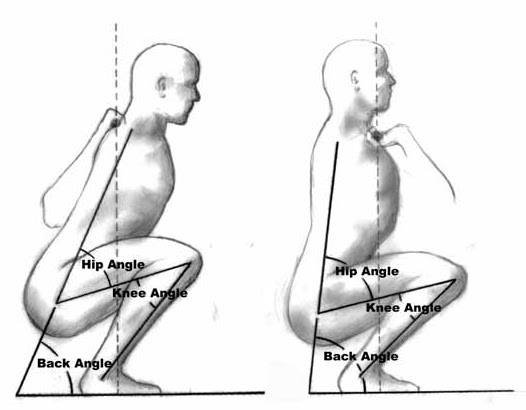 frontsquatVSbacksquat