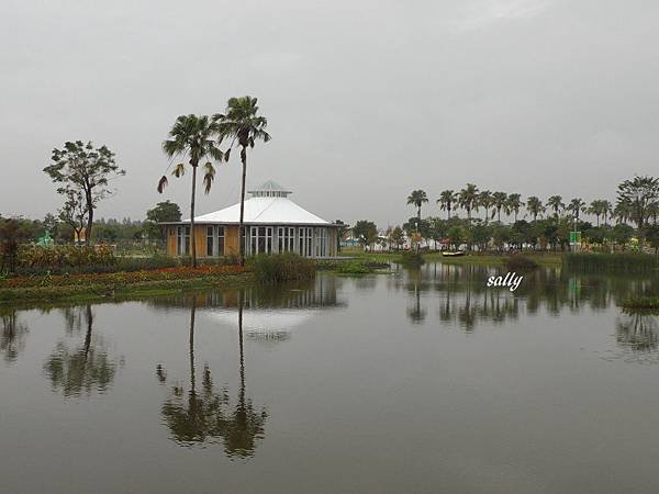 IMGP9872.jpg