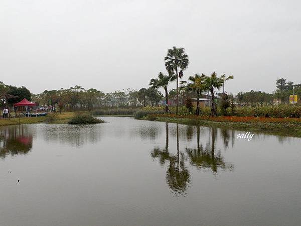IMGP9877.jpg