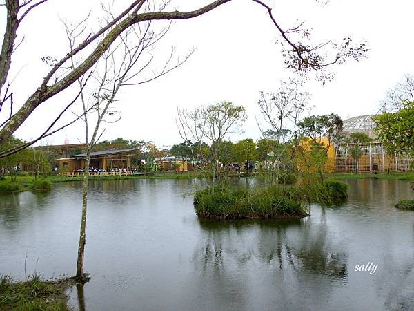 IMGP9940.jpg