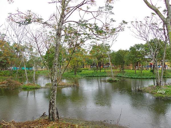 IMGP9942.jpg