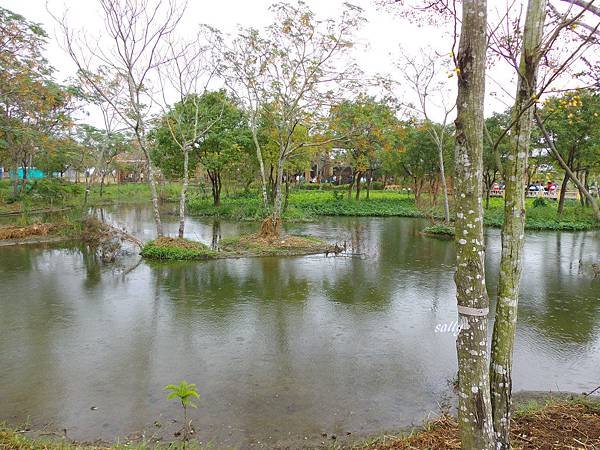 IMGP9943.jpg