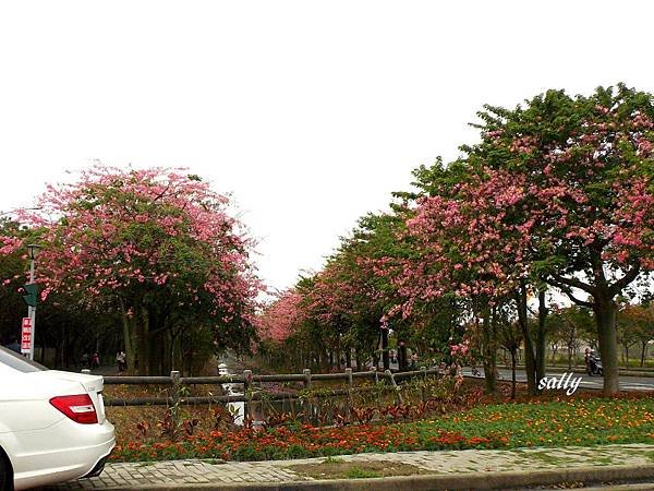 IMGP9996.jpg
