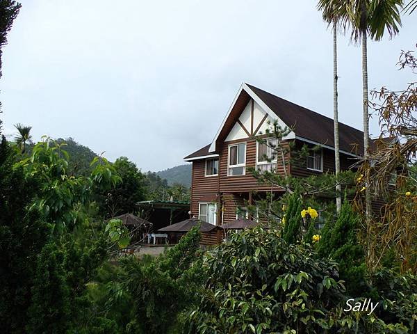 IMGP1368.jpg