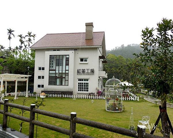 IMGP1428.jpg
