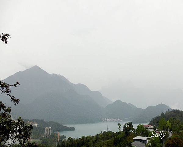 IMGP1452.jpg