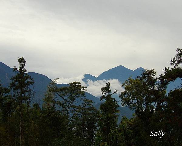 IMGP1464.jpg