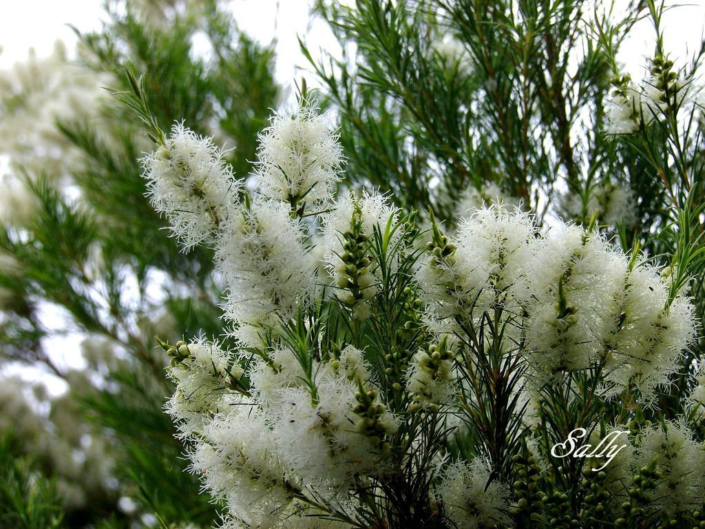 IMGP1760.jpg