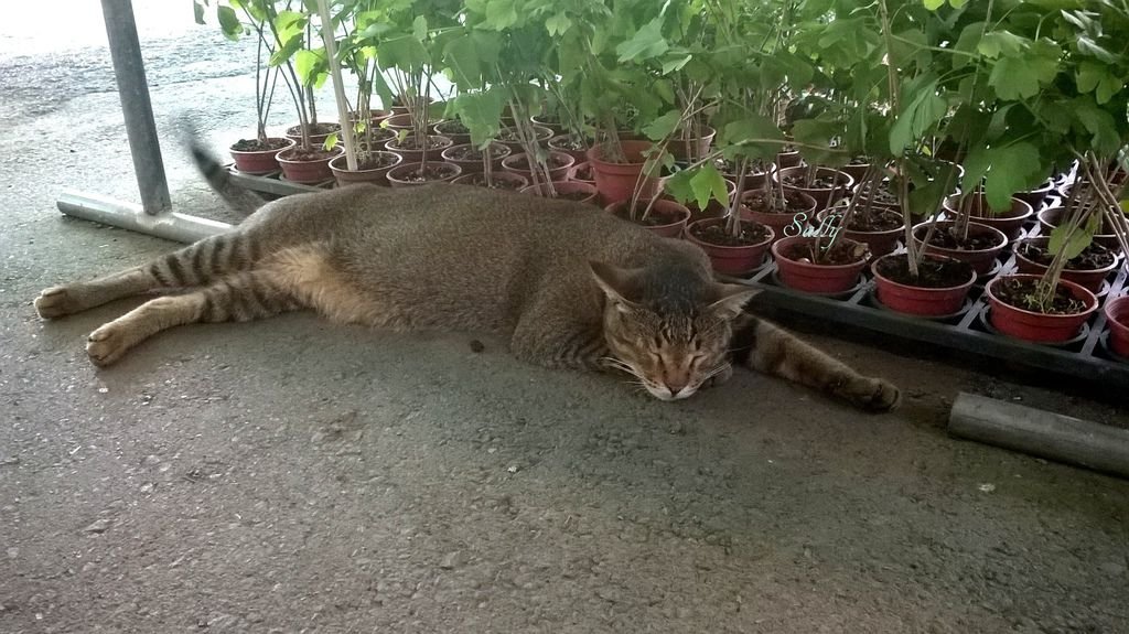 WP_20140604_018.jpg