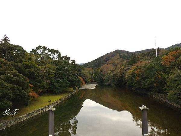 IMGP7519.jpg