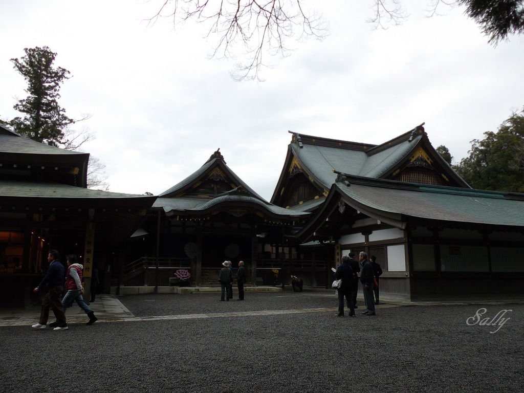 IMGP7547.jpg