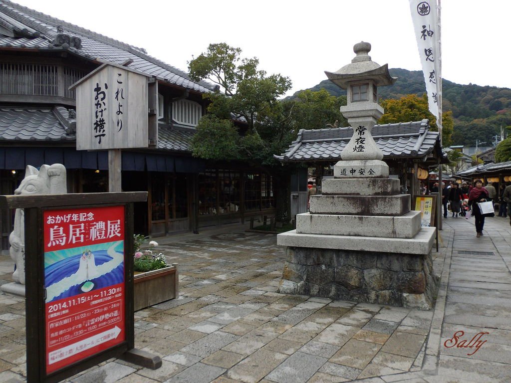 IMGP7587.jpg