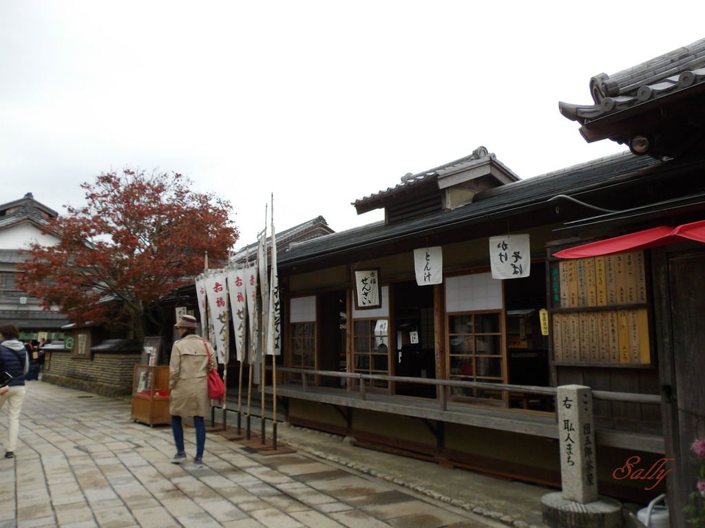 IMGP7590.jpg