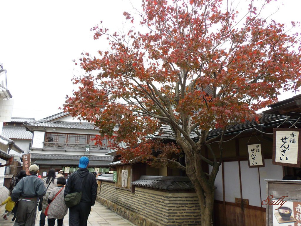 IMGP7591.jpg